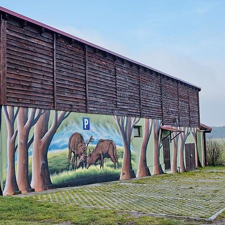 Gospodarstwo Agroturystyczne Antoniewo Villa Esterno foto