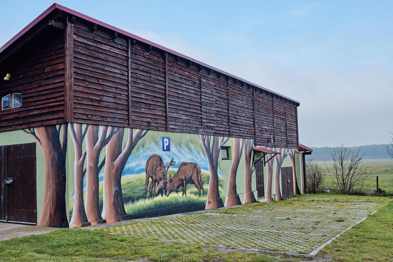 Gospodarstwo Agroturystyczne Antoniewo Villa Esterno foto